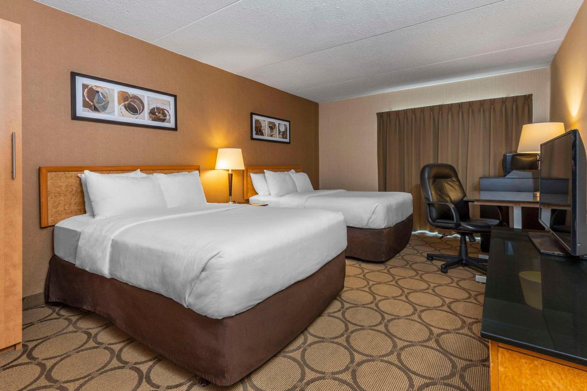 Comfort Airport East 3*