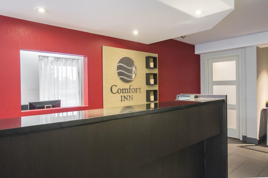 Comfort Airport East 3*
